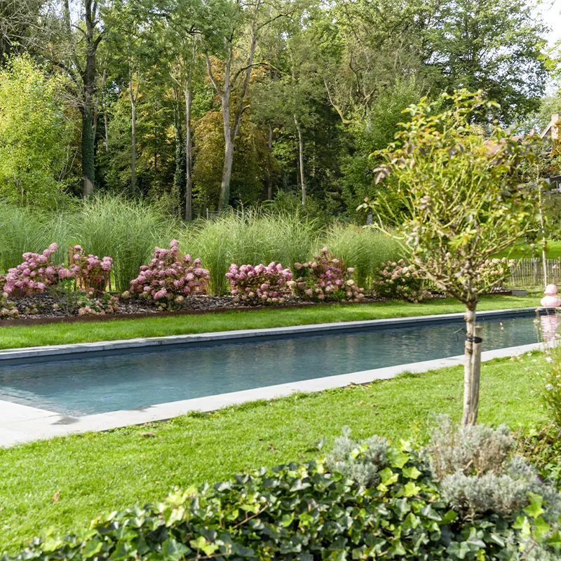 Les avantages d'un projet Pool Deluxe